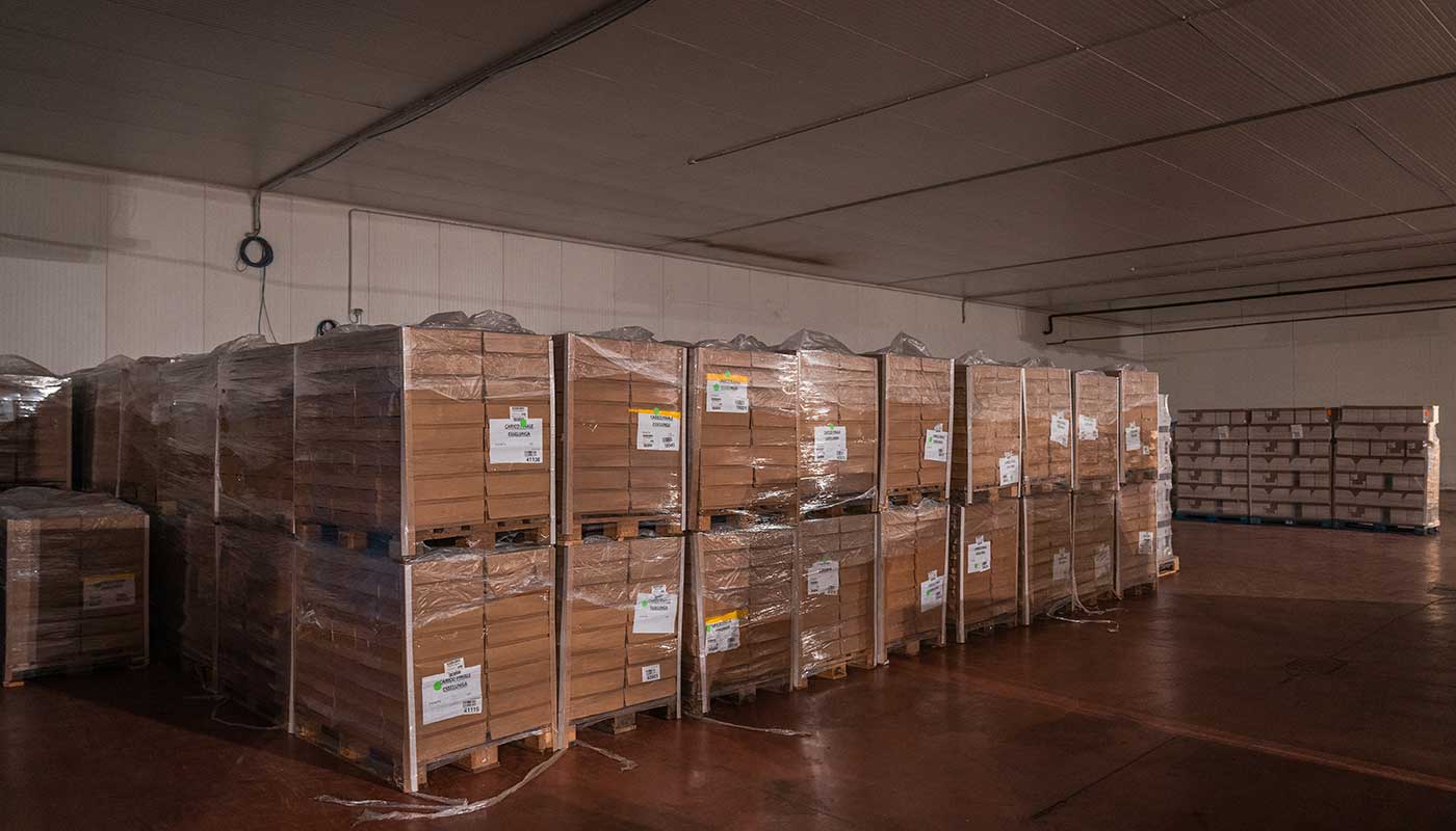 Azienda-trasporti-per-generi-alimentari-surgelati-bergamo Azienda-trasporti-per-generi-alimentari-surgelati-bergamo