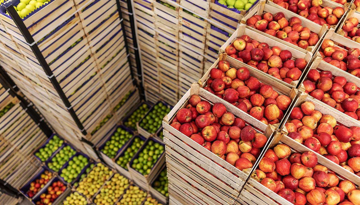 Trasporti-merci-alimentari-freschi-refrigerati-latticini-carne Trasporti-merci-alimentari-freschi-refrigerati-latticini-carne